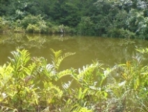 Imagen Laguna