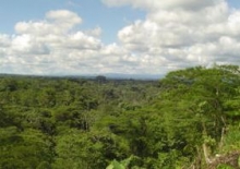 Imagen Mirador
