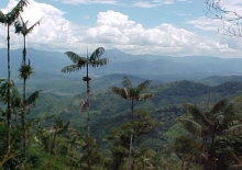 Imagen Mirador