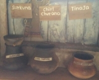 Imagen Museo