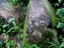 Imagen Petroglifos