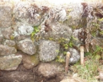 Imagen Ruinas