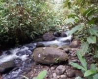 Imagen Río de Hola Vida