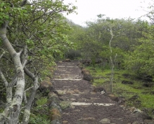 Imagen Sendero