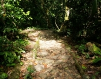 Imagen Sendero