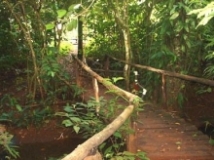 Imagen Sendero
