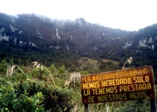 Imagen Tufiño