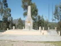 Imagen Verdeloma