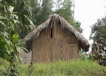 Imagen Vivienda Tsáchila