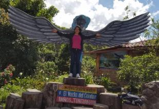 Imagen Vuelo del Cóndor