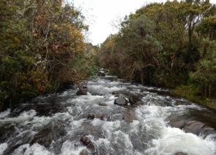 Imagen Río Papallacta