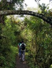 Imagen Sendero del Relax