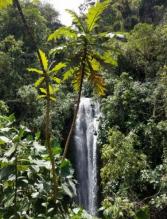 Imagen Cascada Guagrapamba