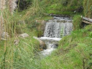 Imagen Río Palictahua