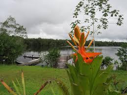 Imagen Laguna