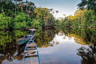 Imagen Reserva Faunistica Cuyabeno
