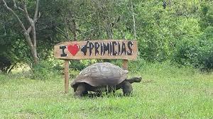 Imagen Rancho Primicias