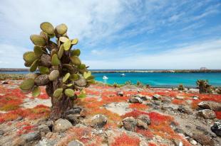 Imagen Isla Seymour Norte