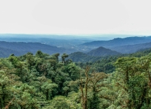 Imagen Reserva Antisana