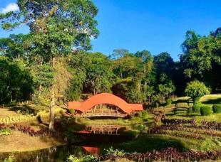Imagen Parque de la Guadua El Pigual