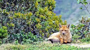 Imagen Parque Nacional Yacuri