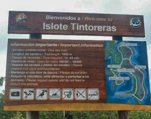 Imagen Islote Tintoreras