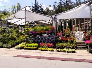 Imagen Viveros ornamentales
