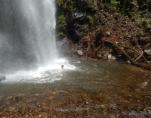 Imagen Cascada la Jalca