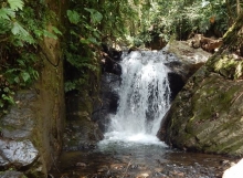 Imagen Cascada la Jalca