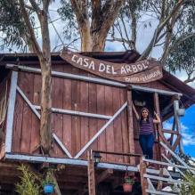Imagen Casa del árbol