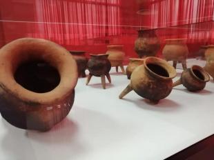 Imagen Museo Paleontológico de Bolí