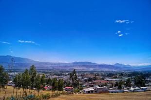 Imagen Florícola