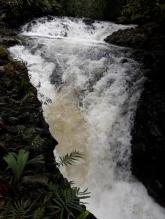 Imagen Rio