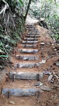 Imagen Sendero