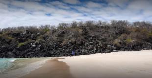 Imagen Playa