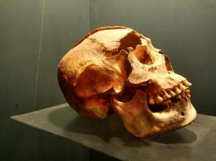 Imagen Museo de Esquetología