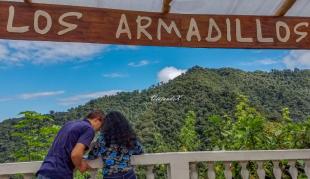Los Armadillos