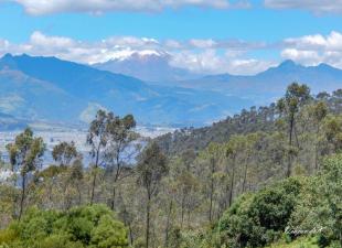 Imagen Mirador al Volcán Cotopaxi