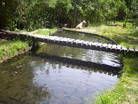 Imagen puente