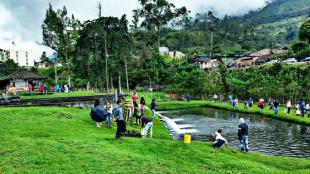 Imagen piscina