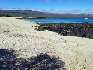 Imagen Playa Manglecito