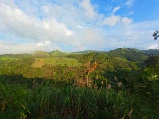 Imagen Dulce tierra Yumba