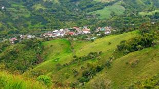 Imagen La pura y limpia Concepción d