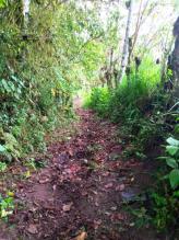 Imagen Caminos de los yumbos