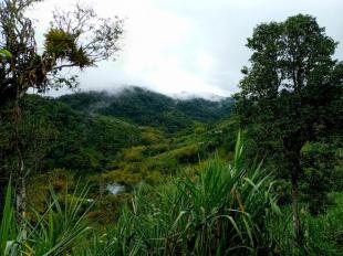 Imagen Chocó