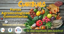 Imagen Feria Cuniburo