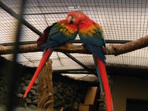Imagen Zoo