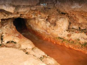 Imagen Aguas Termales de Baños