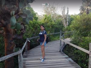 Imagen Sendero - ECCD