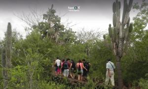 Imagen Camino a las Grietas